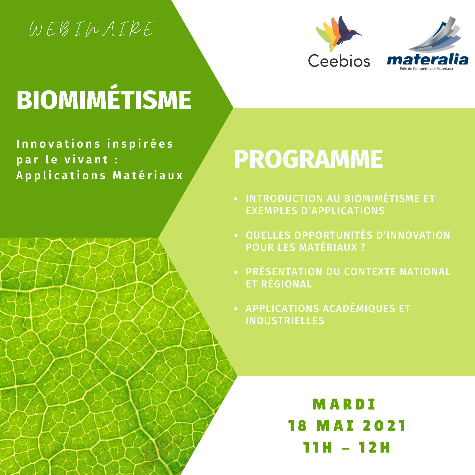 Webinaire Biomimétisme - Innovations inspirées par le vivant : Applications Matériaux